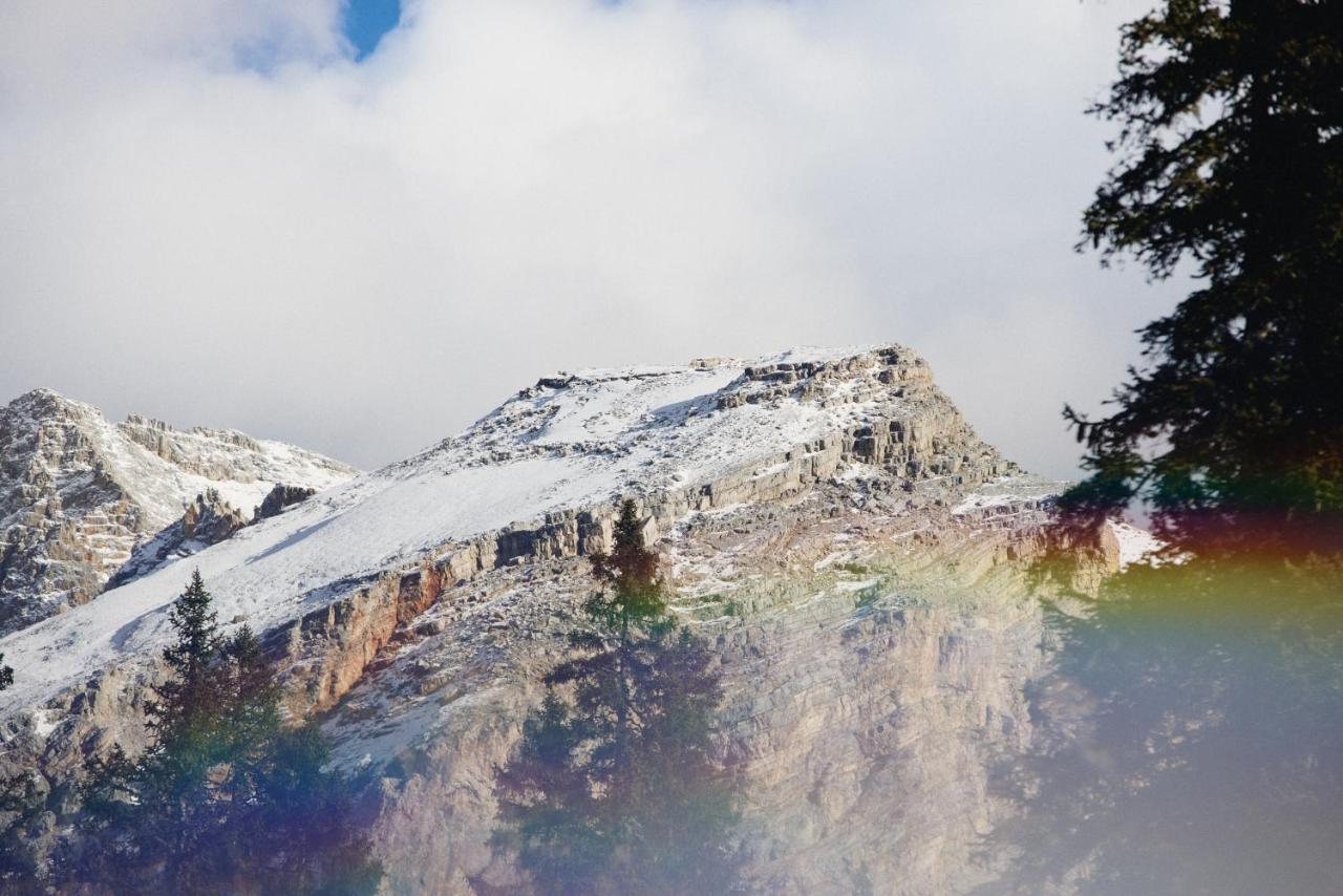 Rifugio Malga Ra Stua Villa Cortina dʼAmpezzo Eksteriør bilde