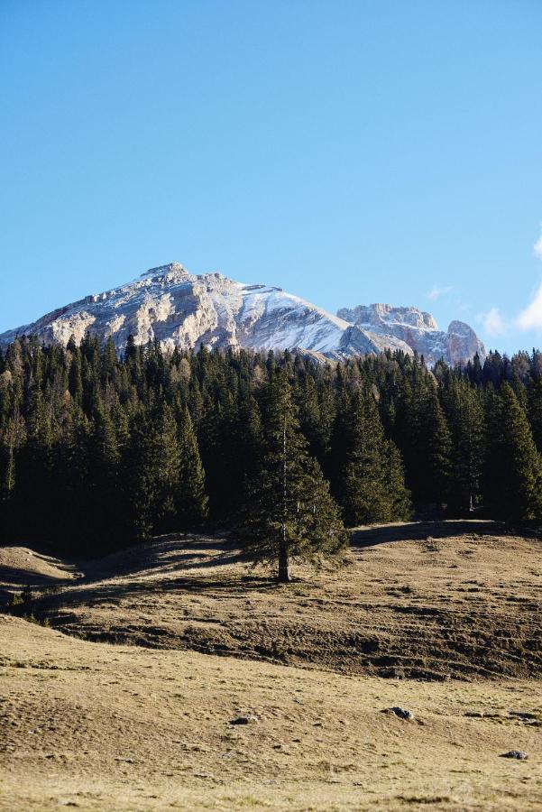 Rifugio Malga Ra Stua Villa Cortina dʼAmpezzo Eksteriør bilde